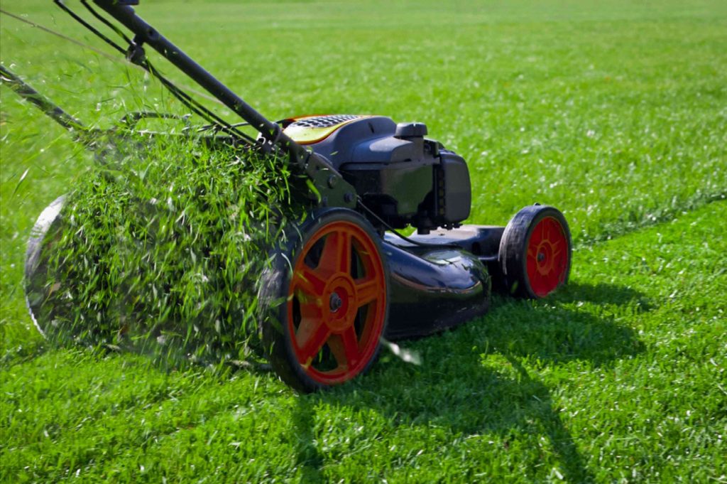 8 Steps for Simple Spring Lawn Care