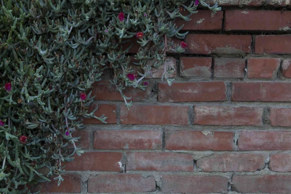 Tuckpointing: A Comprehensive Guide to Repairing Brick Mortar Joints