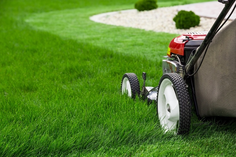 What to Know When Choosing Lawn Care Service Providers in Provo to Transform Your Yard